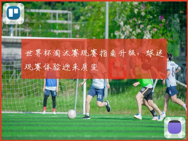 世界杯淘汰赛观赛指南升级，球迷观赛体验迎来质变