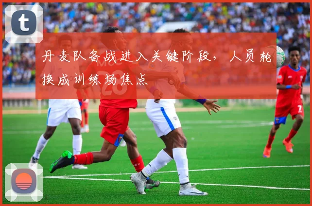 丹麦队备战进入关键阶段，人员轮换成训练场焦点