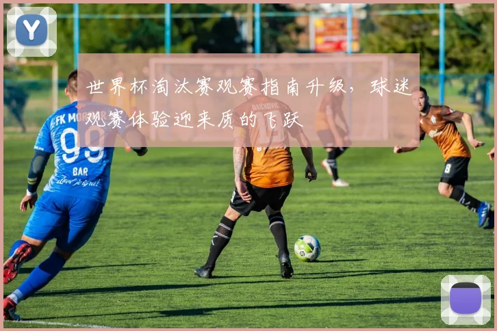 世界杯淘汰赛观赛指南升级，球迷观赛体验迎来质的飞跃