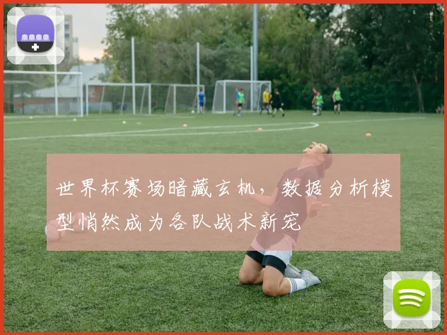 世界杯赛场暗藏玄机，数据分析模型悄然成为各队战术新宠
